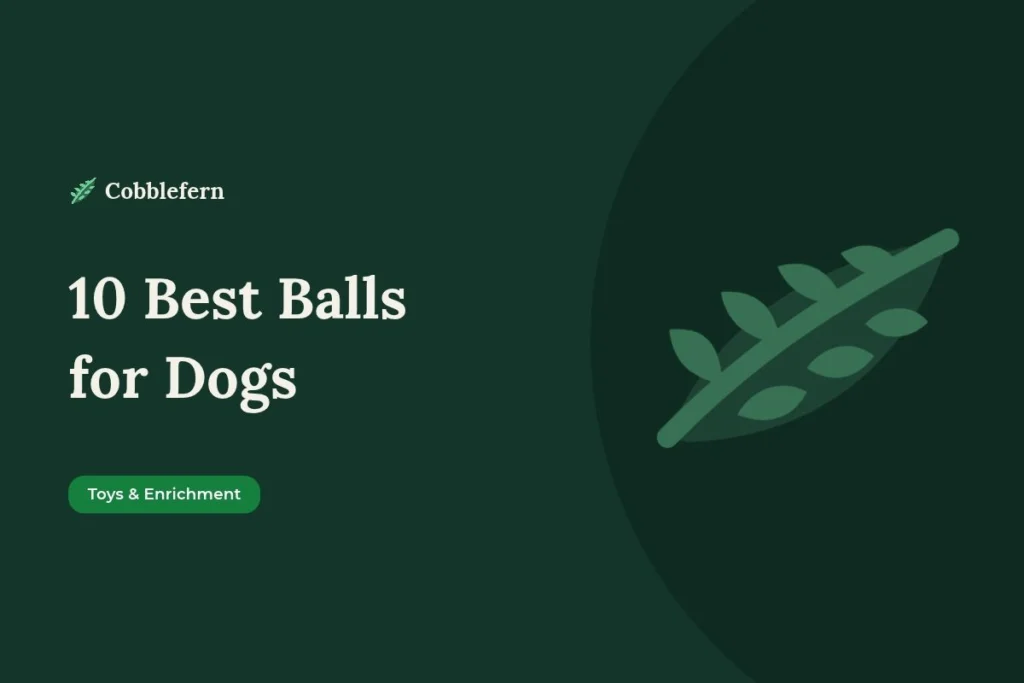 best balls for dogs