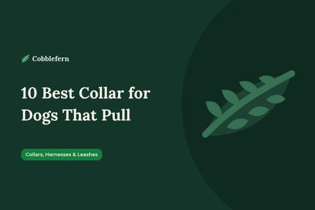 best collar for dogs that pull