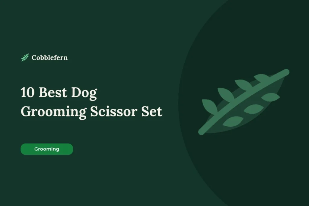 best dog grooming scissor set