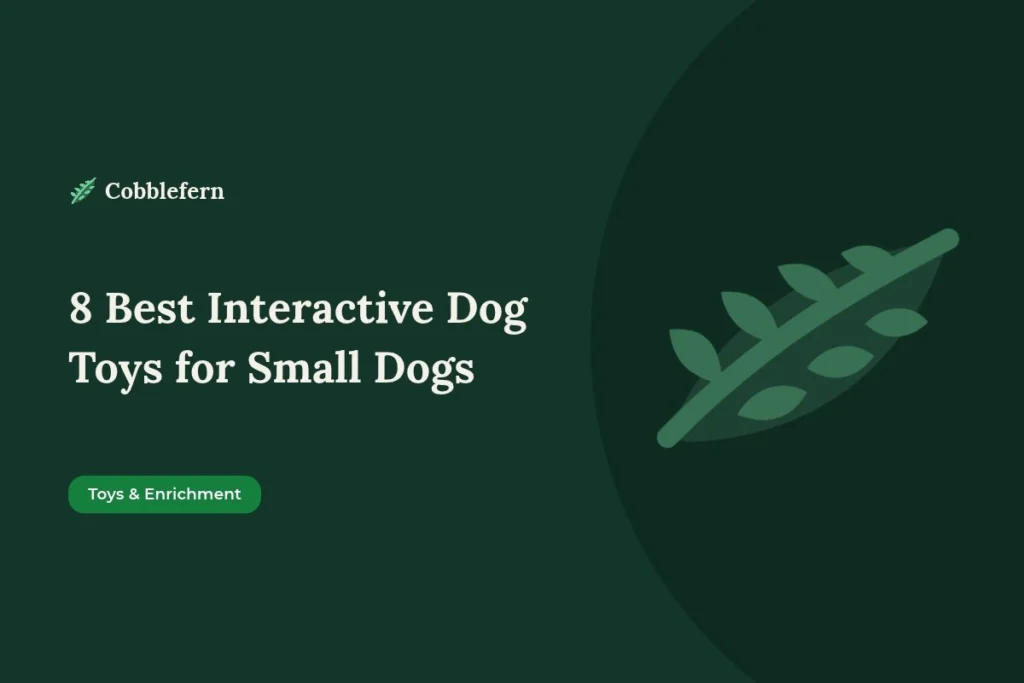 best interactive dog toys for small dogs