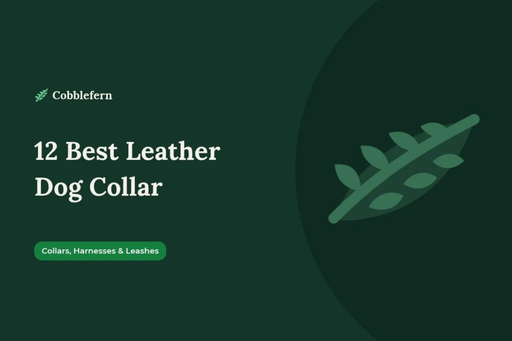 best leather dog collar