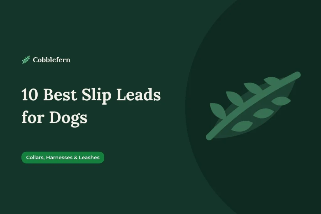 best slip leads for dogs