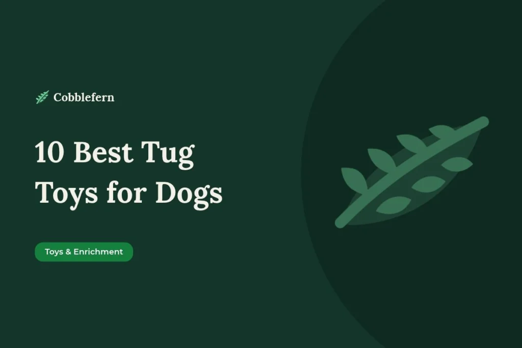 best tug toys for dogs